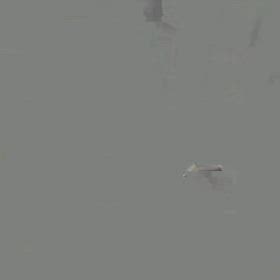 過去最高人数のお申し込みでしたの画像
