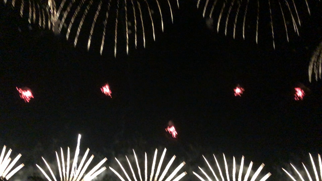 お前さん、やっぱり走りに行くのかい…【初長岡花火観賞】の記事動画