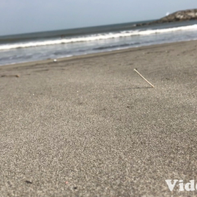 めっちゃ楽しかったです！の画像