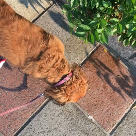 夏休み♪の画像