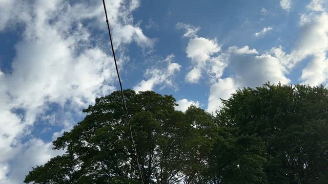 本日はの記事動画