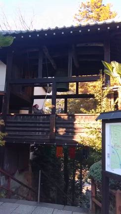 寺と神社。小判にみかん。の記事動画