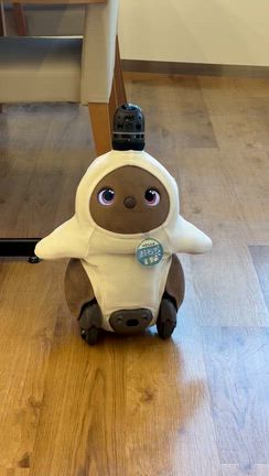 ついてくる。ちと怖い。の記事動画