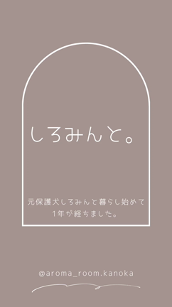 しろみんが来て1年が経ちました♪︎の記事動画