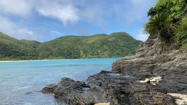 「この海は、沖縄の宝」の記事動画
