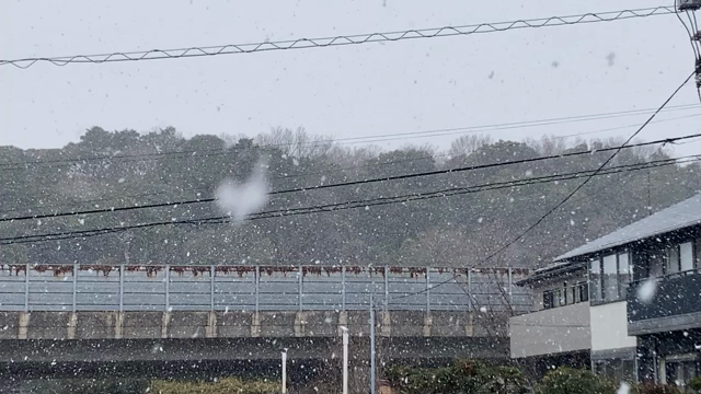 路面凍結にお気をつけ下さい！の記事動画