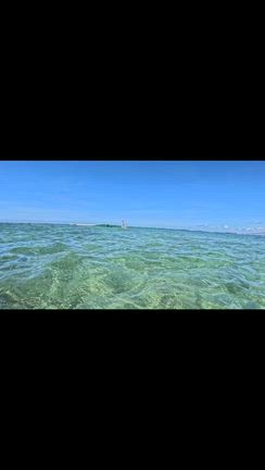 サーフィンの記事動画