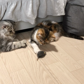 会いた かったよー(((o(*ﾟ▽ﾟ*)o)))♡の画像