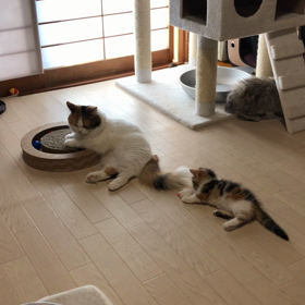 午前中お休みをいただきありがとうございますの画像