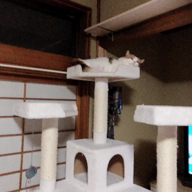 本日、休業させていただきますの画像