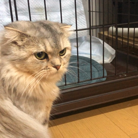 幸せ(Ｔ＿Ｔ)の画像
