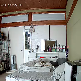ラブラブ(=^x^=)♡の画像