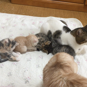幸せ♡♡♡の画像