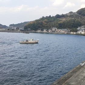 シラス漁の画像