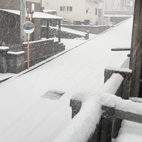 積雪の画像