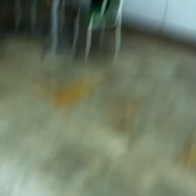 和哉の画像