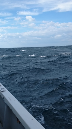 荒いけど！の記事動画