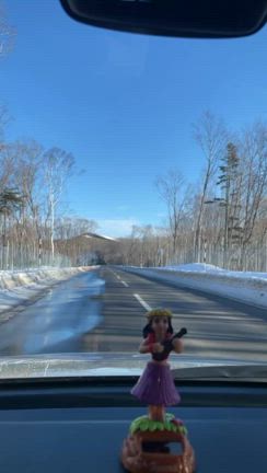 はるかほ熱波(507)の記事動画
