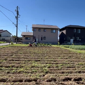 しげ君の嬉しかった一日の画像