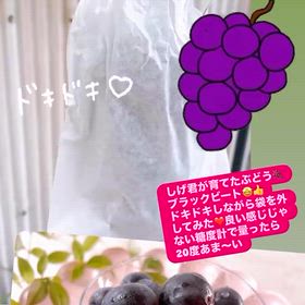 ぶどうまだ少し早いかな〜の画像