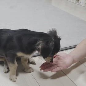 のあくんの成長の画像