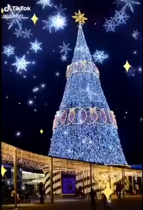 秋の花言葉診断の結果は…の記事動画