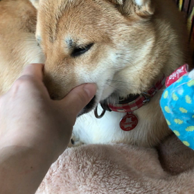しつこい私…の画像