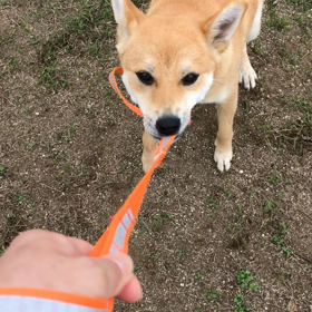 やんちゃ盛りの画像