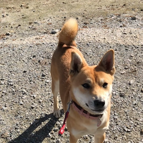 お時間があるときに…の画像