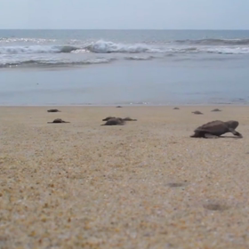 オリンピックの画像