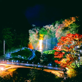 白糸滝ライトアップ2020の画像