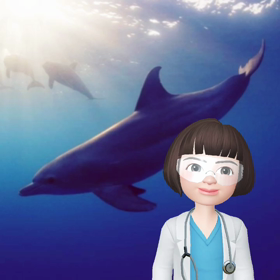 器具のお手入れの画像