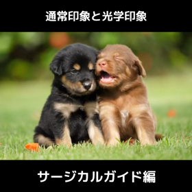 光学印象の画像