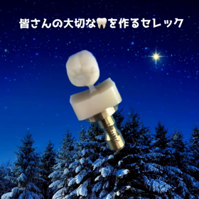セレック　の画像