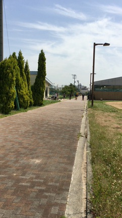 スタミナコース in 垂水 ８の記事動画