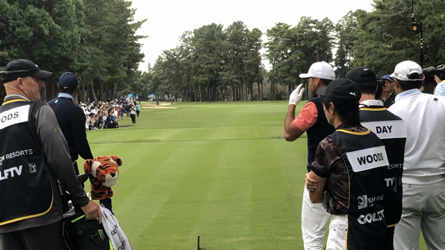 観戦‼️の記事動画