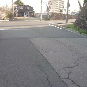 相変わらずの画像