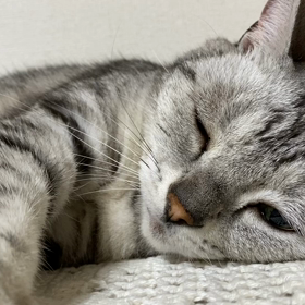 イベントのあとは(≧ω≦)の画像