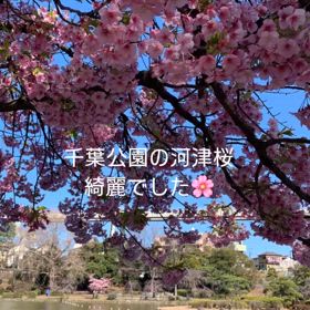 春ですねの画像