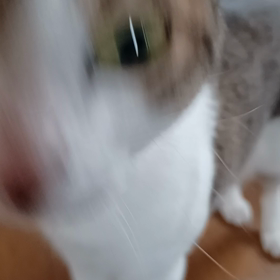お帰りなさいの画像