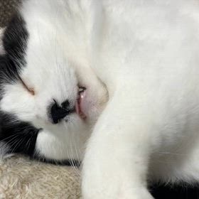 ありがとうございましたの画像