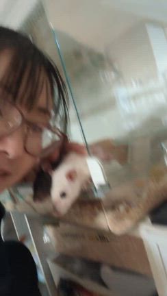 ありがたいね！の記事動画