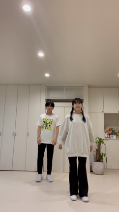 踊ってみたの記事動画