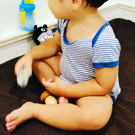 昨日の寝る前の一コマの記事動画
