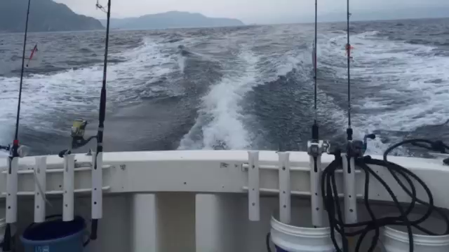 初釣り！♡の記事動画