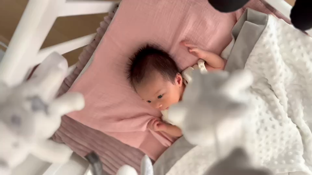 【姫】元気に成長しています♡の記事動画
