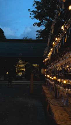 2024/09/06の記事動画