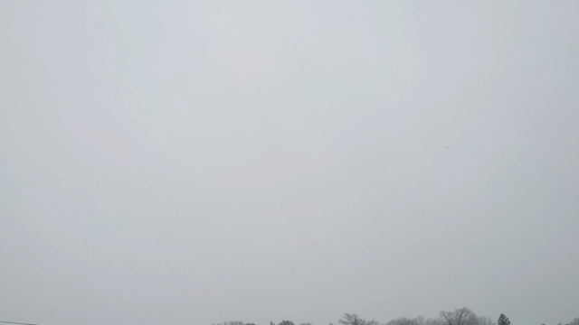 雪の記事動画