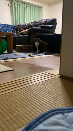 ■ 早朝サッカーの記事動画