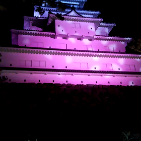 ”夜桜”の画像